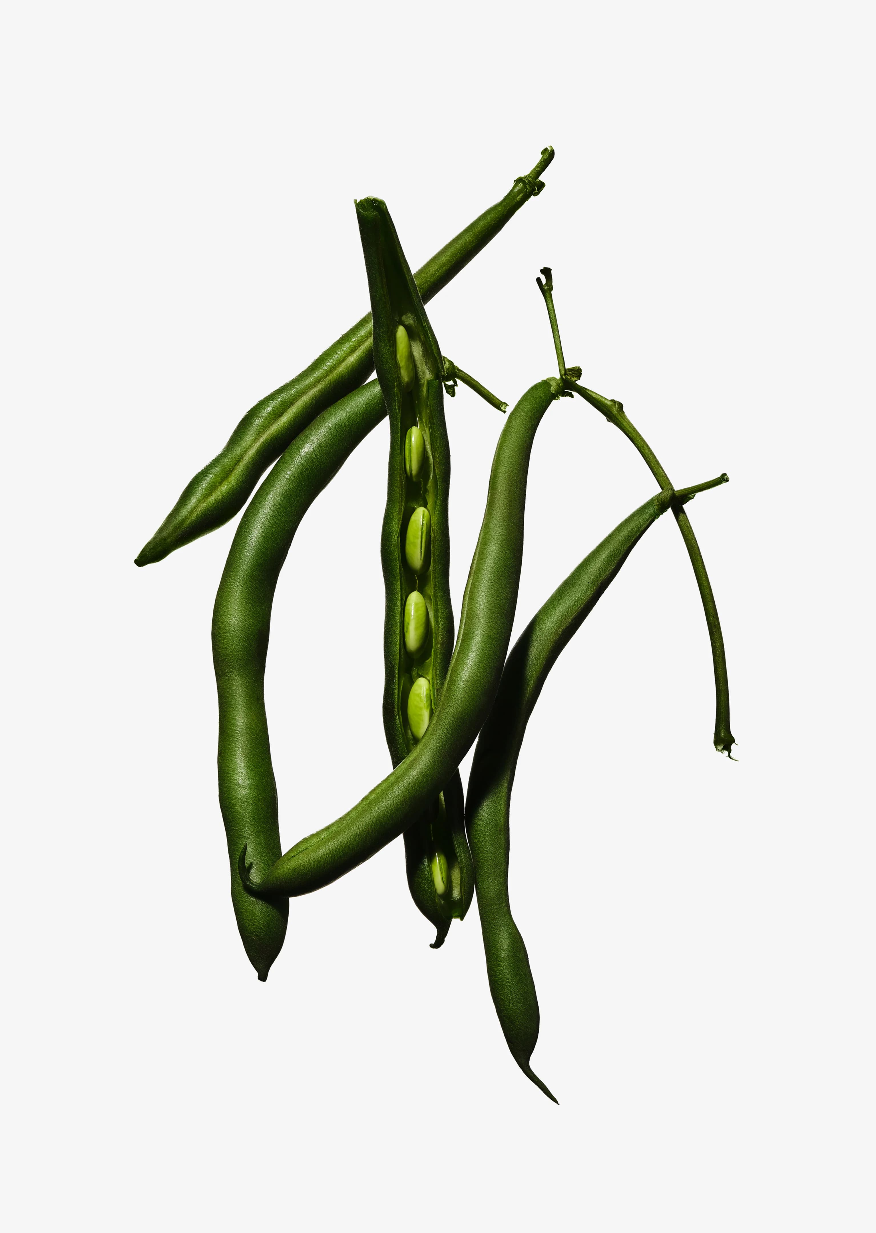 Green Bean
