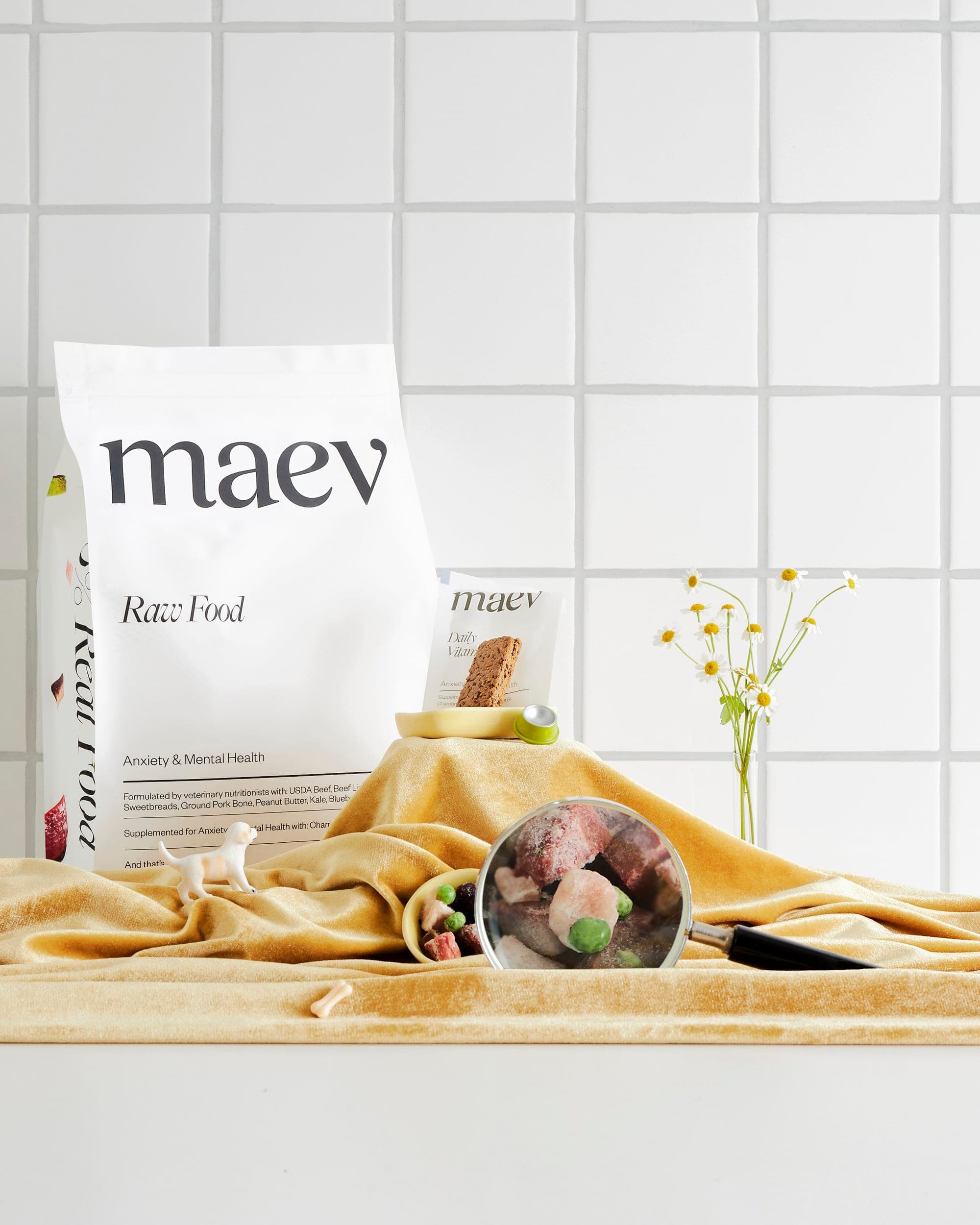 220218_Maev0 1.jpg