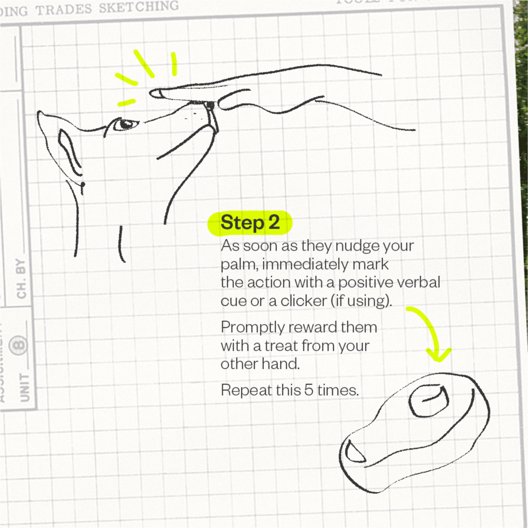 Artboard 3 1.png