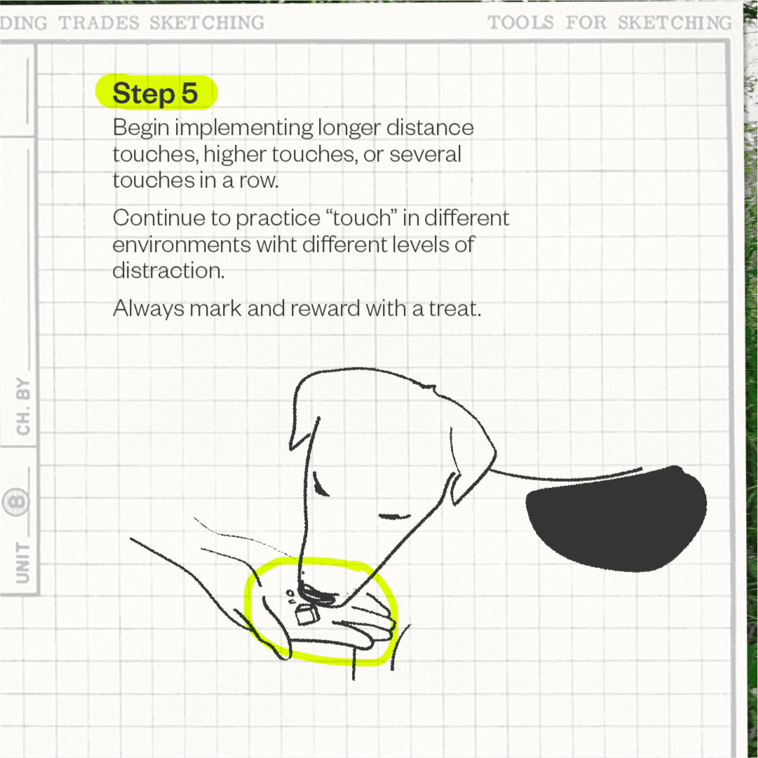 Artboard 6 1.png