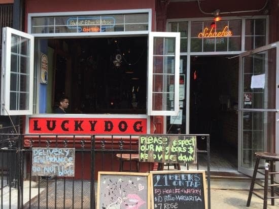 luckydog-1.jpg